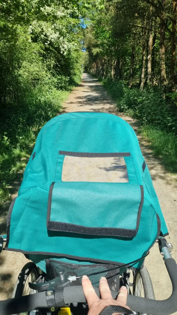 Kool Stride buggy running point of view